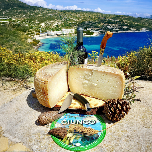 Giunco